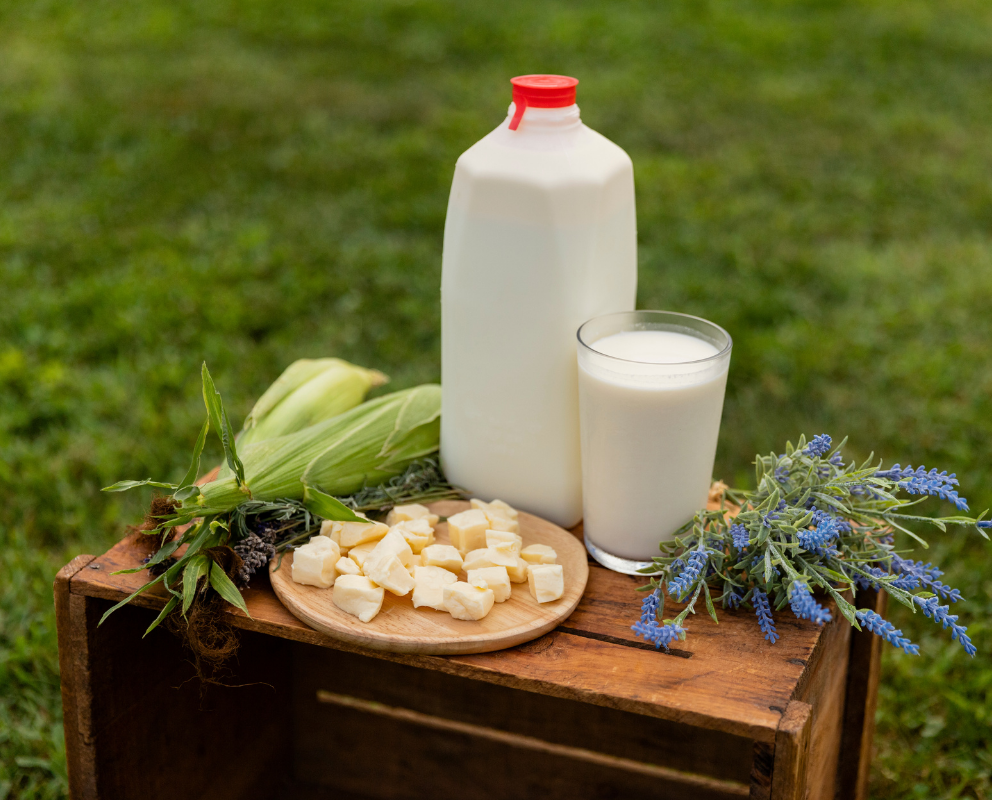 Español Connecticut Dairy