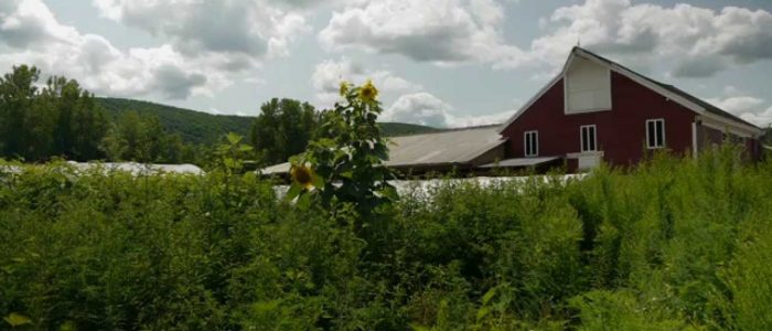 Freund's Farm, East Canaan 