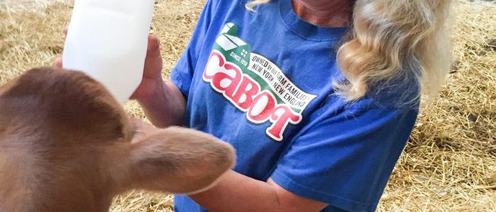 Carlwood Farm, LLC, Canaan 