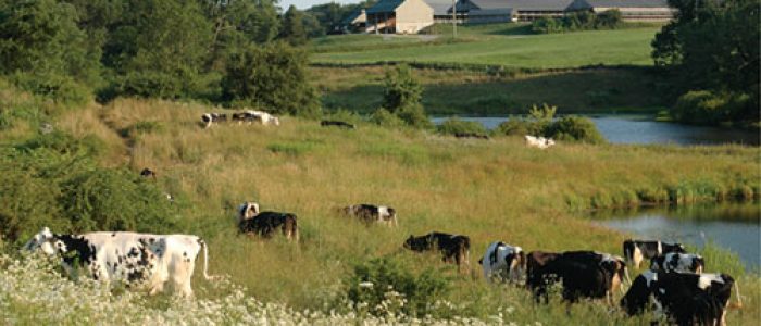 Graywall Farms, Lebanon 