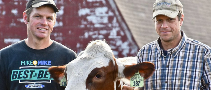 Hannan Holstein Farm, Woodbury 